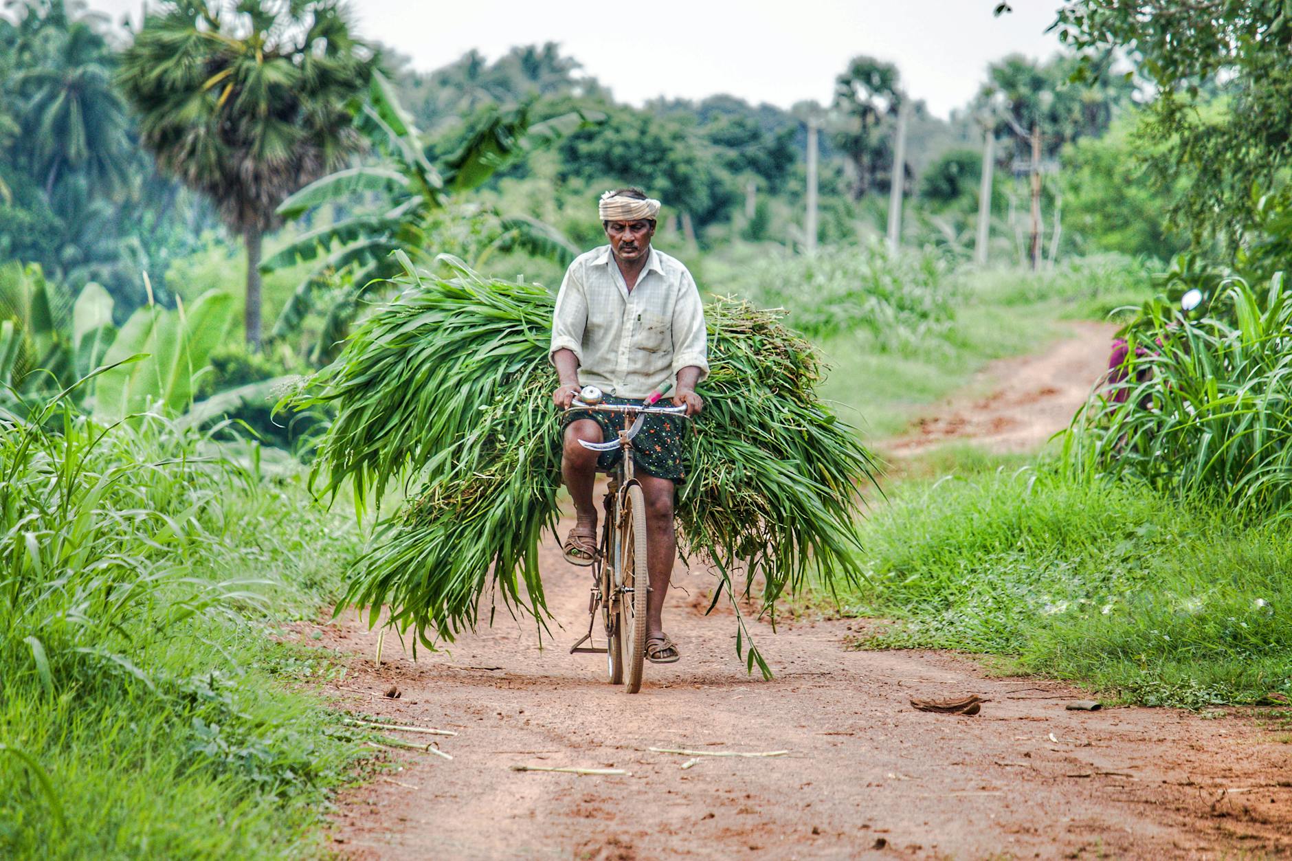 man riding bicycle on dirt road
